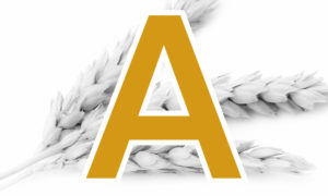 A-Qualitäts – Weizen