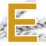E-Elite – Weizen