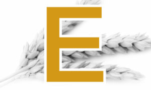 E-Elite – Weizen