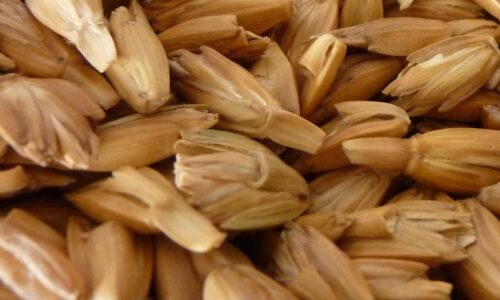Dinkel